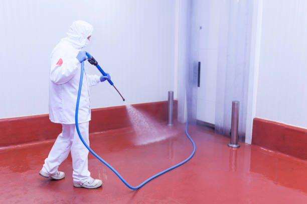Best Solar Panel Cleaning  in Bay Hill, FL